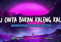 Download Lagu Dj Bukan Kaleng Kaleng Tik Tok